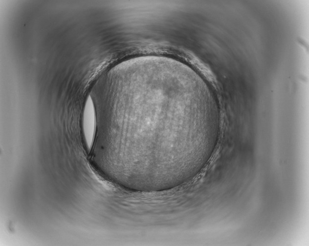 X0000094950009200712201147