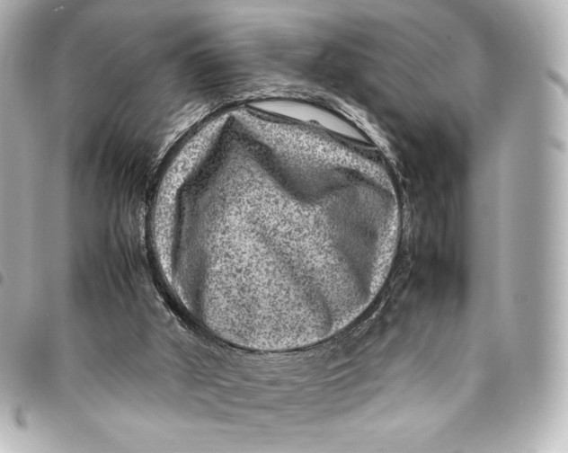 X0000094950010200712201147