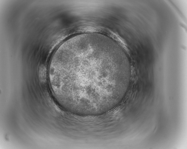 X0000094950012200712201147