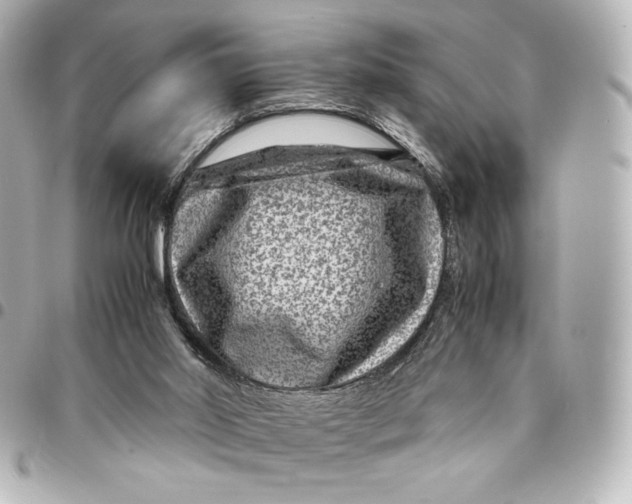 X0000094950014200712201147