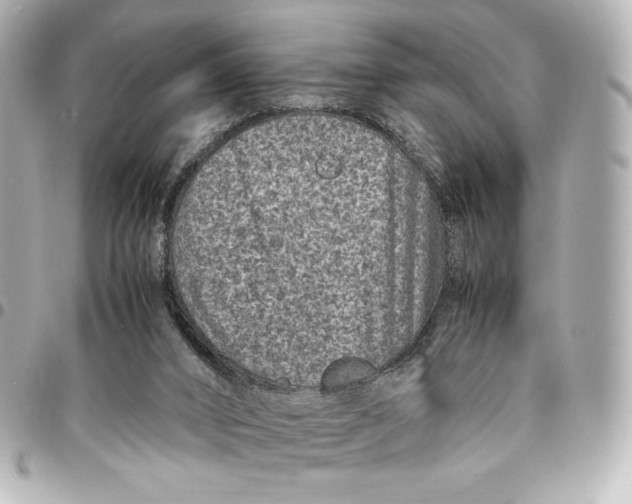 X0000094950016200712201147