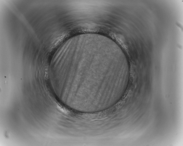 X0000094950017200712201147