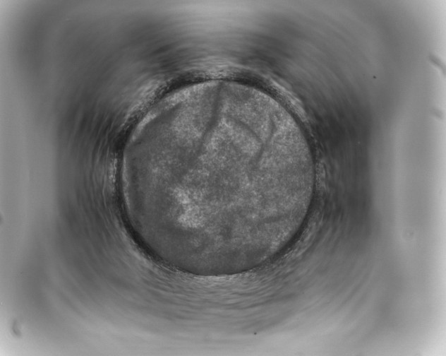 X0000094950018200712201147