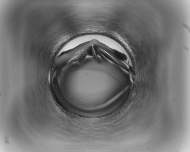 X0000094950019200712201147