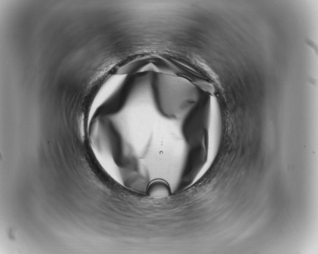 X0000094950020200712201147