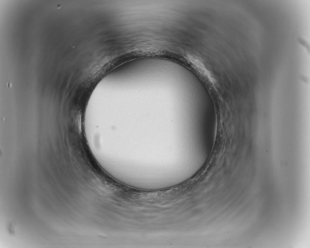 X0000094950021200712201147