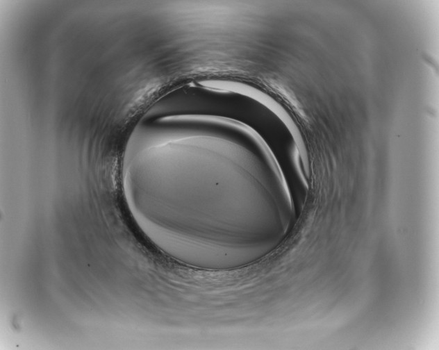 X0000094950023200712201147