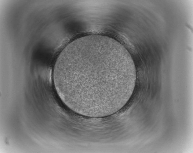 X0000094950024200712201147