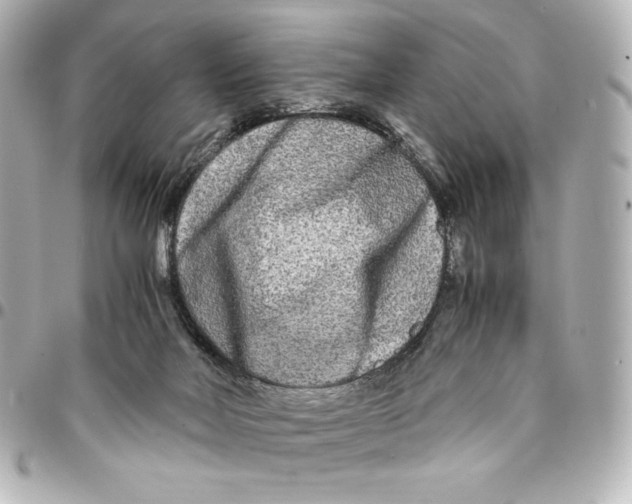 X0000094950026200712201147