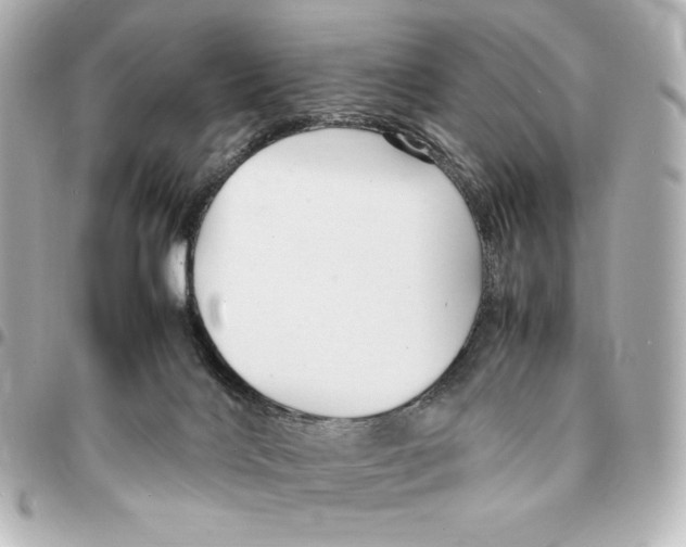 X0000094950028200712201147