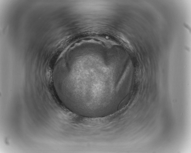 X0000094950029200712201147