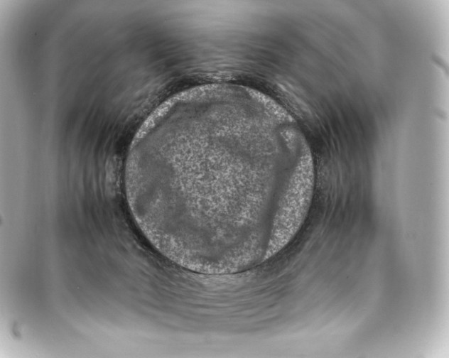 X0000094950030200712201147