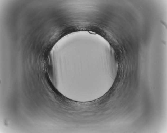 X0000094950031200712201147