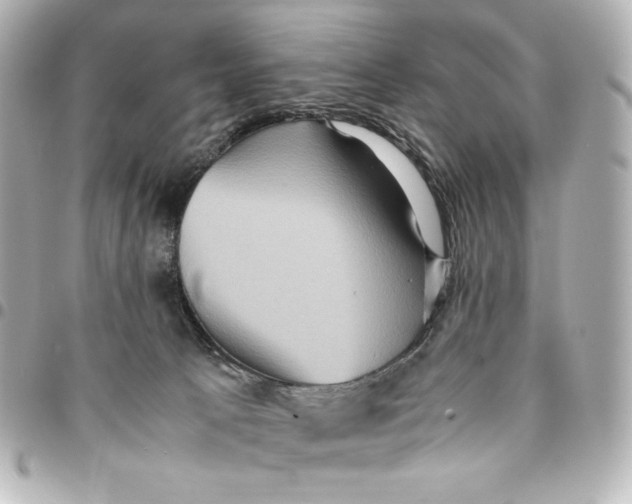 X0000094950033200712201147