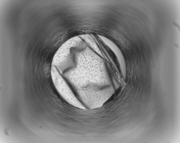 X0000094950034200712201147