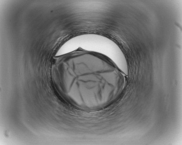 X0000094950035200712201147