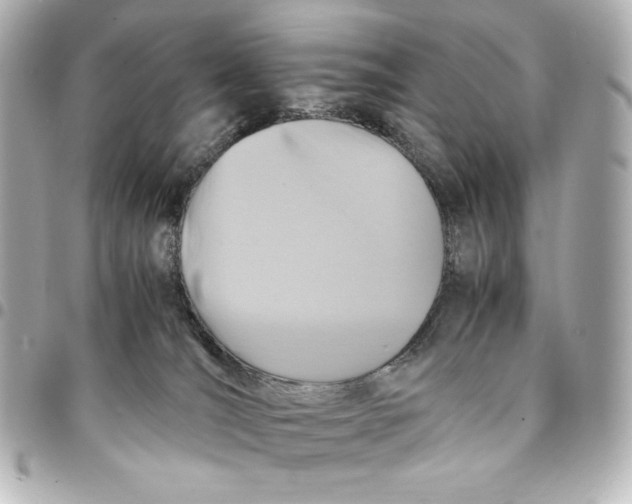 X0000094950036200712201147