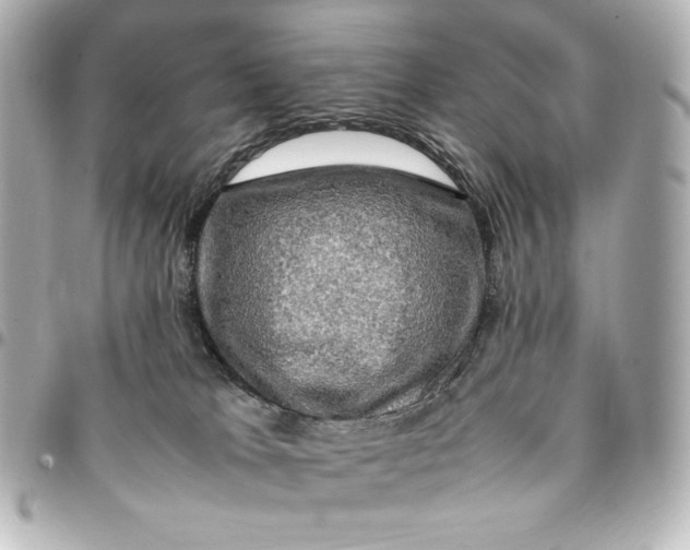 X0000094950037200712201147