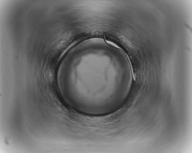 X0000094950039200712201147