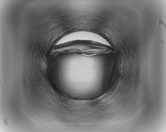 X0000094950040200712201147