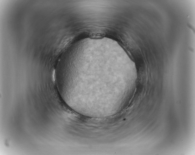 X0000094950041200712201147