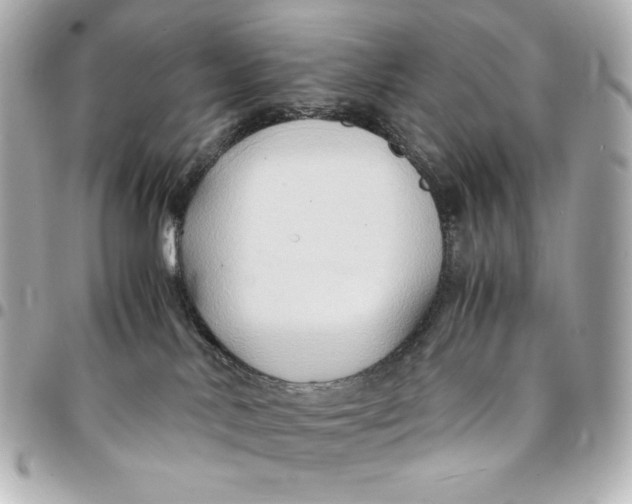 X0000094950042200712201147