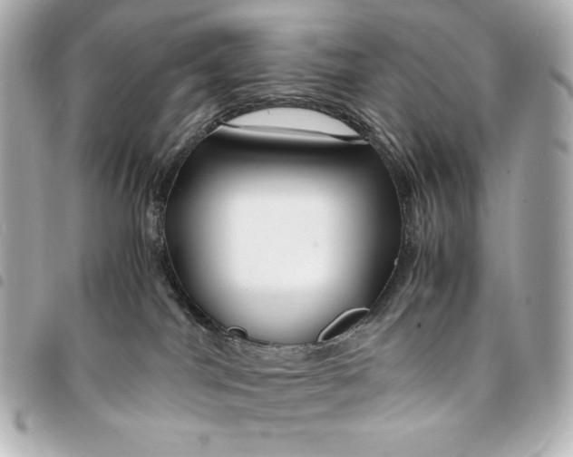 X0000094950044200712201147