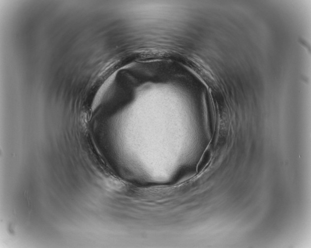 X0000094950045200712201147