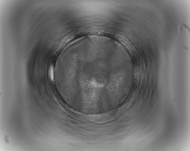 X0000094950046200712201147