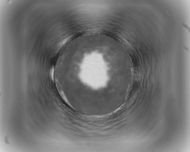 X0000094950047200712201147