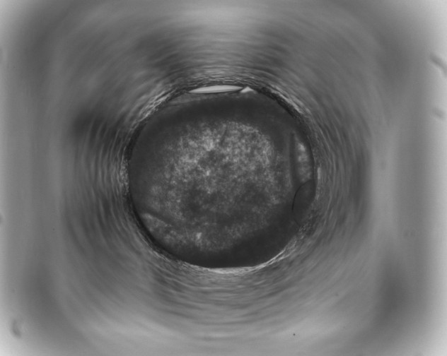 X0000094950048200712201147