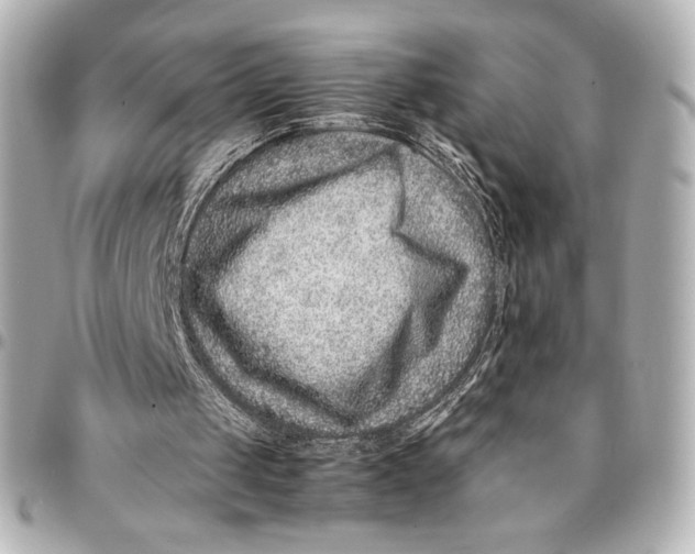 X0000094950049200712201146