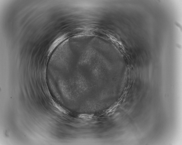 X0000094950051200712201146