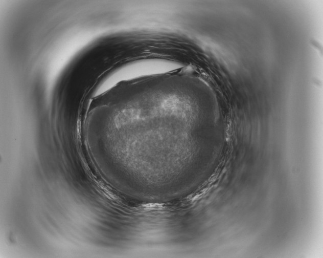 X0000094950052200712201146