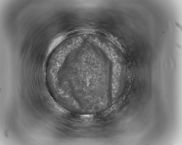 X0000094950053200712201146