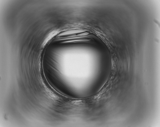 X0000094950054200712201146