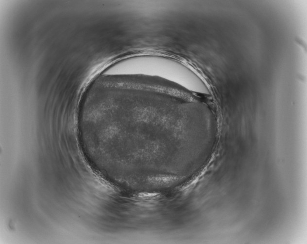 X0000094950055200712201146