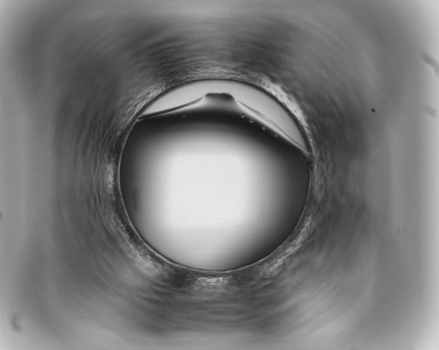 X0000094950057200712201146