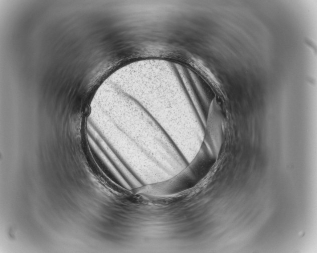 X0000094950058200712201146