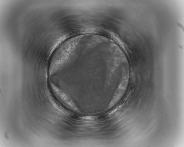 X0000094950059200712201146