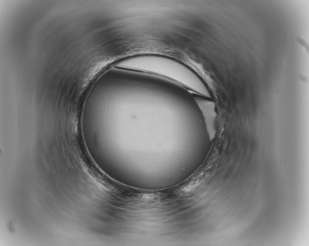 X0000094950060200712201146