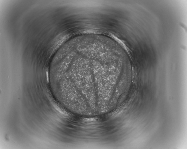 X0000094950061200712201146