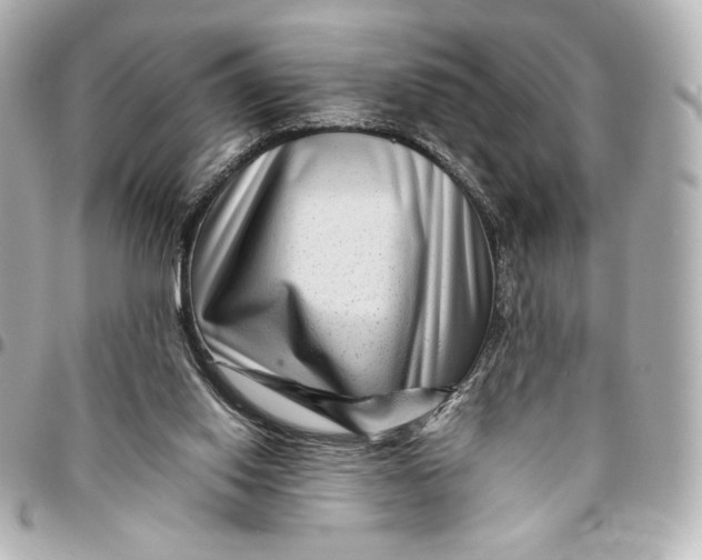 X0000094950062200712201146