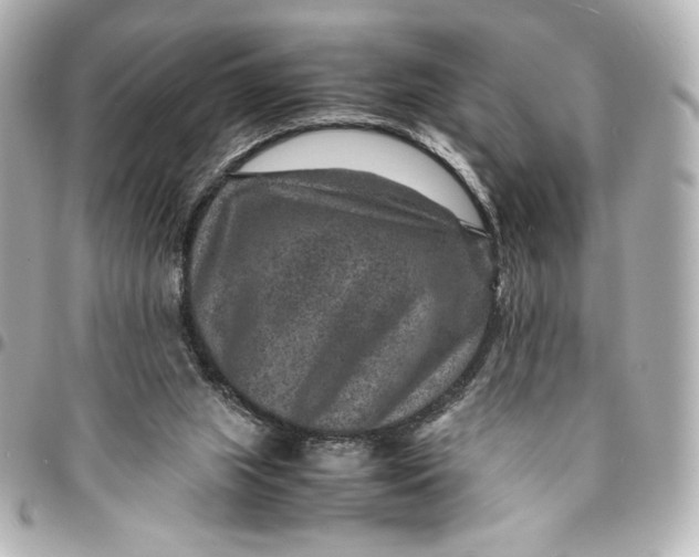 X0000094950063200712201146