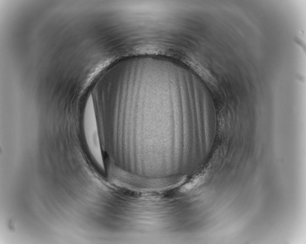 X0000094950064200712201146