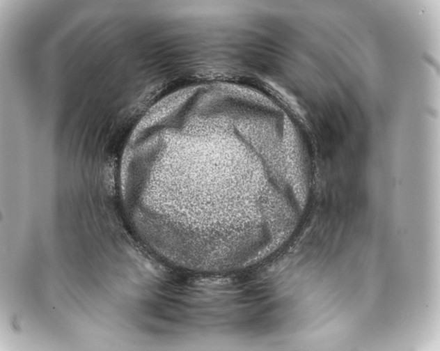 X0000094950065200712201147