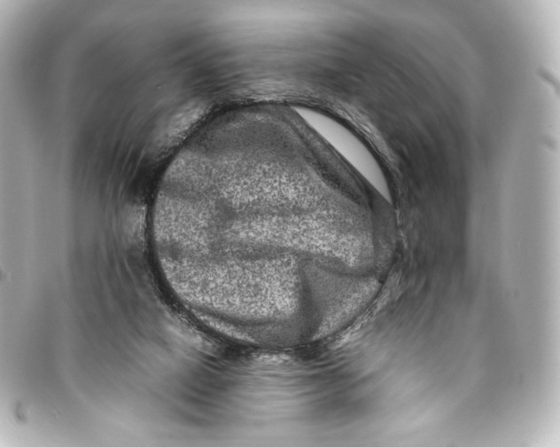 X0000094950066200712201147