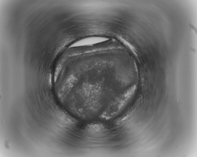 X0000094950067200712201147