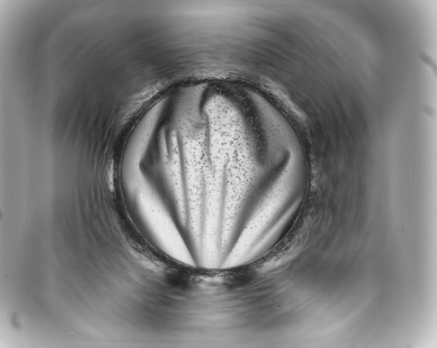 X0000094950068200712201147