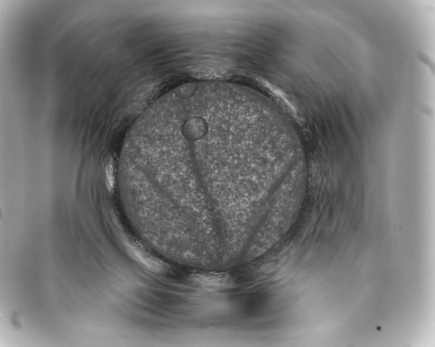 X0000094950069200712201147